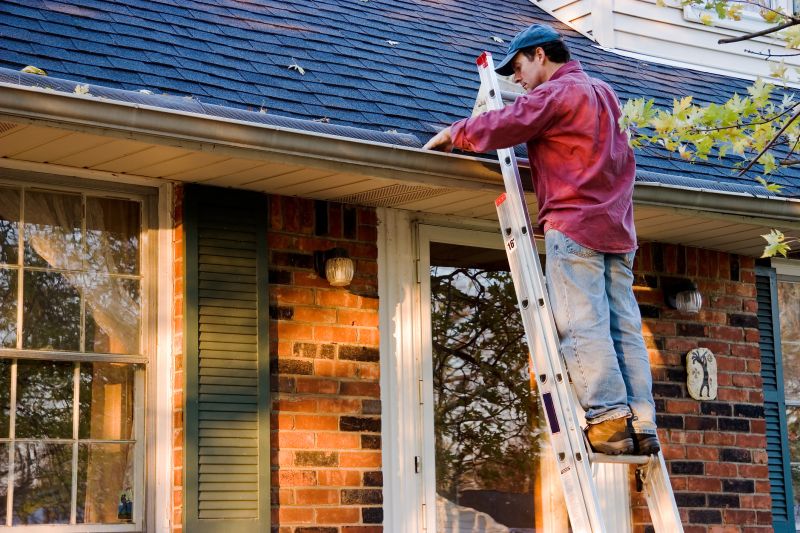 Gutter Cover on a Residential Roof